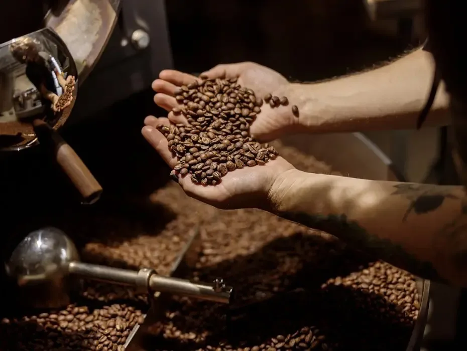Ești în căutarea cafelei perfecte? Încearcă sortimentele Office Barista